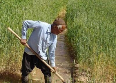 کشاورزان زنجانی برای برداشت محصول وضعیت جوی را پیگیری نمایند