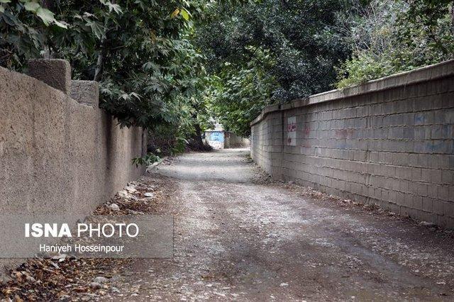 انتقاد یک عضو شورای شهر از تداوم تخریب باغ های شیراز