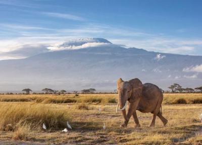 راهنمای سفر به کنیا، کشور ناشناخته های مجذوب کننده