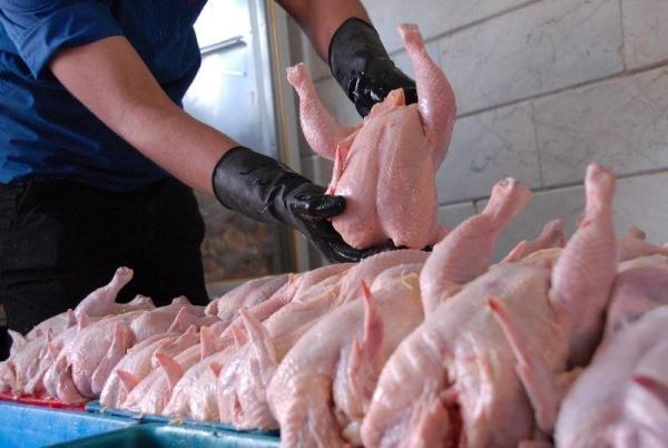 قیمت فروش مرغ در اولین روز ماه رمضان ، هر کیلو مرغ چند شد؟