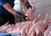 قیمت فروش مرغ در اولین روز ماه رمضان ، هر کیلو مرغ چند شد؟