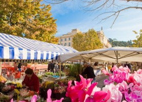 شهر قدیمی (Vieux Nice) نیس فرانسه